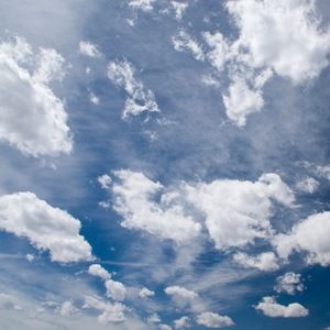 Meet your Posher, Sophie